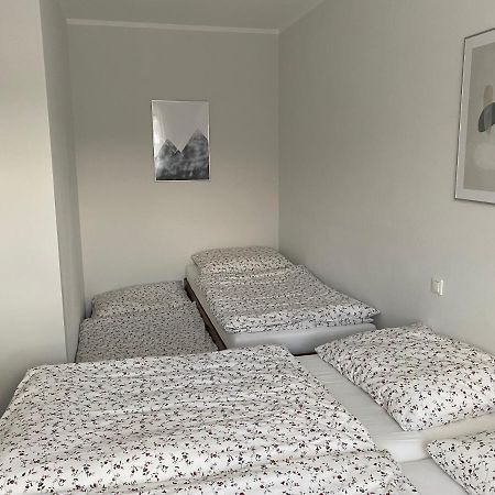 Apartman V Koutech Kouty Buitenkant foto