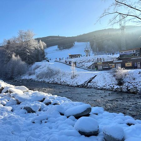 Apartman V Koutech Kouty Buitenkant foto