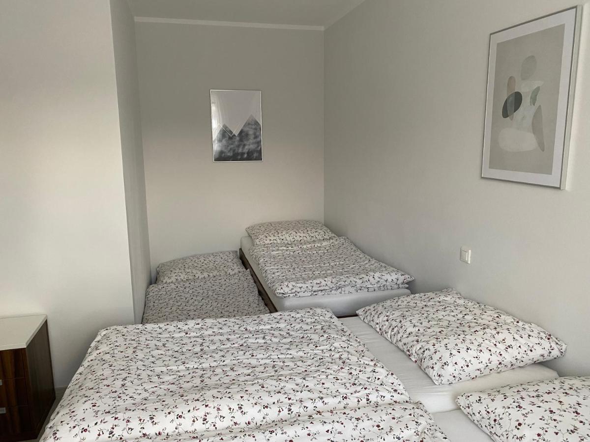Apartman V Koutech Kouty Buitenkant foto